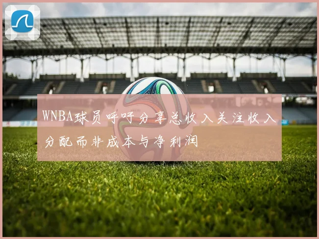 WNBA球员呼吁分享总收入关注收入分配而非成本与净利润