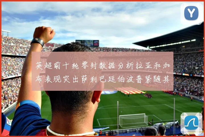 英超前十轮零封数据分析拉亚和加布表现突出萨利巴廷伯波普紧随其后