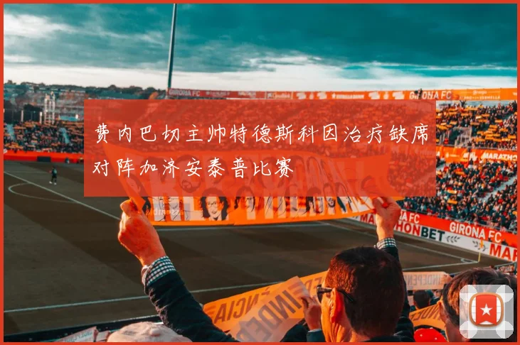 费内巴切主帅特德斯科因治疗缺席对阵加济安泰普比赛
