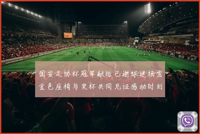 国安足协杯冠军献给已逝球迷杨雪金色座椅与奖杯共同见证感动时刻